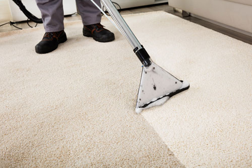 Carpet Cleaning Jersey Shore | Grace Janitorial LLC