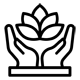 DFNT® Chiropractic Therapy | Holistic Approach